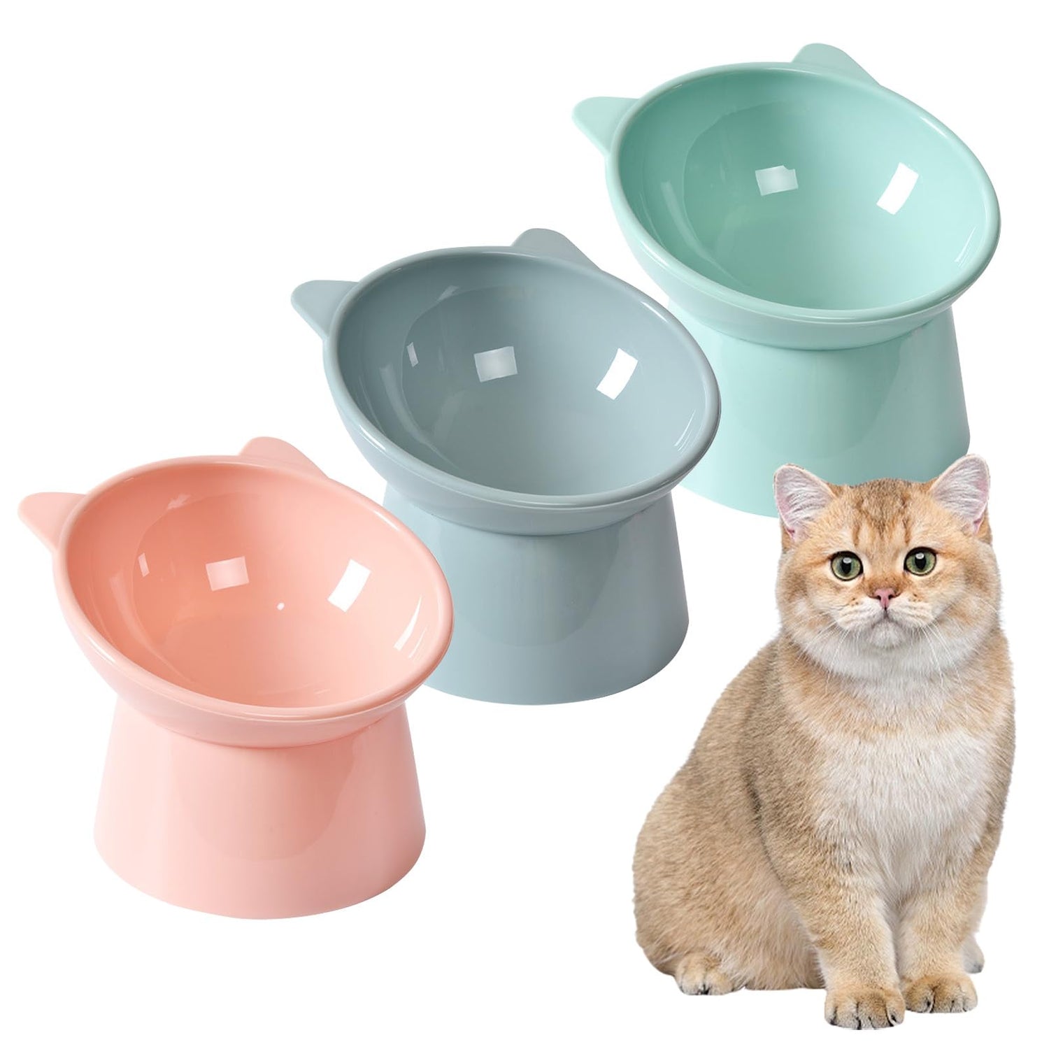 Cat Bowls