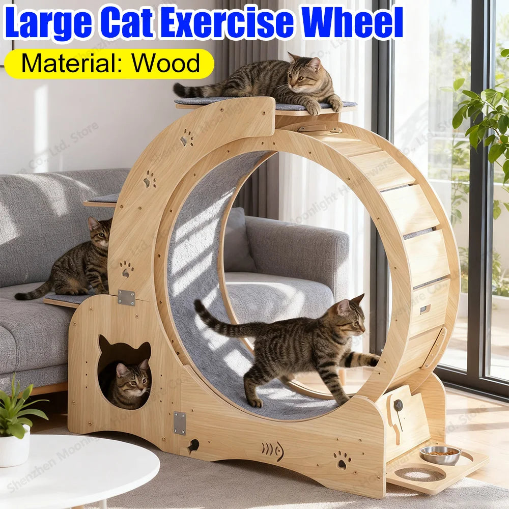 Multi-Functional Indoor Cat Running Exercise Wheel Treadmill Wooden Cat Training Toy Removable Carpet for Pet Running/Walking