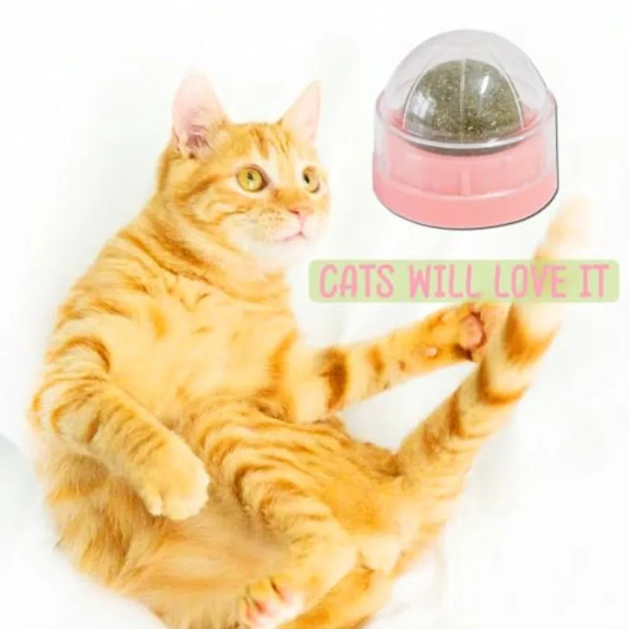 Pink Catnip Ba for Cats 3PCS Wall Catnip Toys Edible Cat Toys for Cat Lick Safe Healthy Kitten Chew Toys Teeth Cleaning Dental