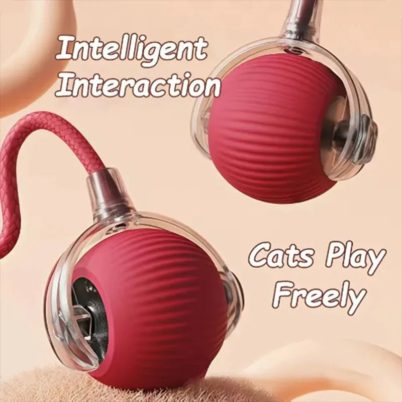 Dog and cat toys, ball, durable, self-entertainment, with rope, cat teaser ball, pet supplies, jumping ball, thud pet toys