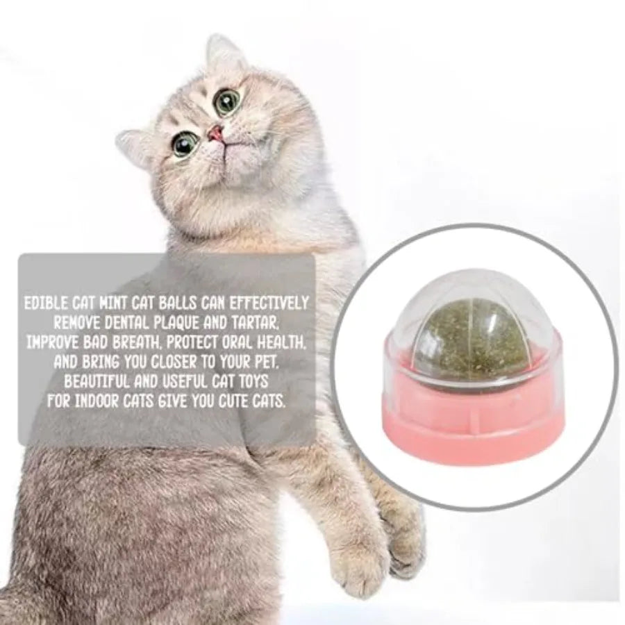Pink Catnip Ba for Cats 3PCS Wall Catnip Toys Edible Cat Toys for Cat Lick Safe Healthy Kitten Chew Toys Teeth Cleaning Dental